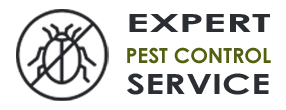 Exterminator Company Deerfield Beach FL